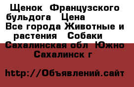 Щенок  Французского бульдога › Цена ­ 35 000 - Все города Животные и растения » Собаки   . Сахалинская обл.,Южно-Сахалинск г.